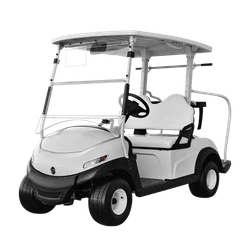 2 seater electric golf cart high quality 2 seater electric golf cart high quality