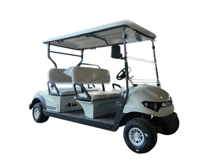 4 Seat Electric Vehicle